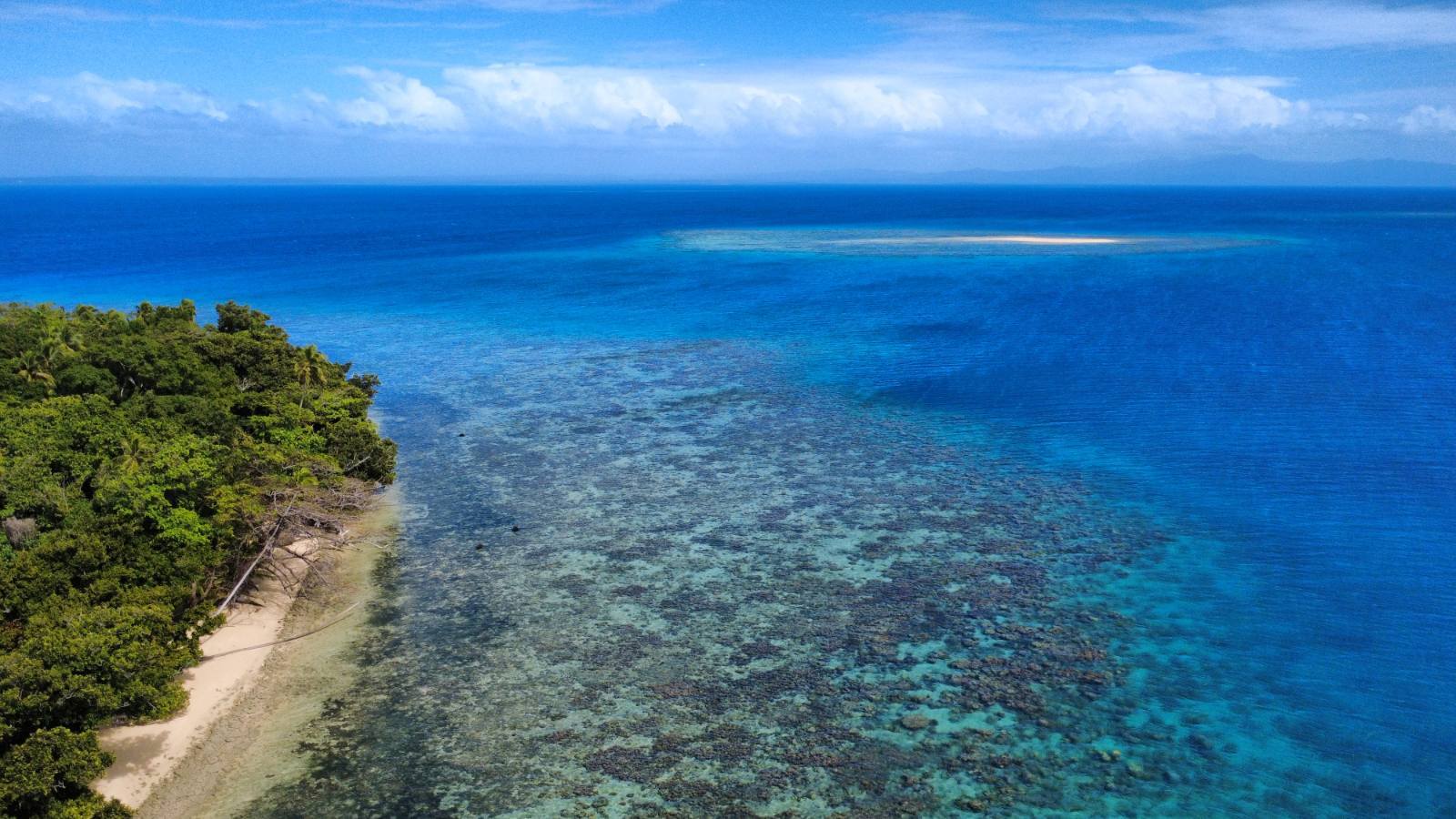 Snorkeling in clear Fiji waters